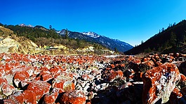 红石滩,红石公园,乔利橘色藻