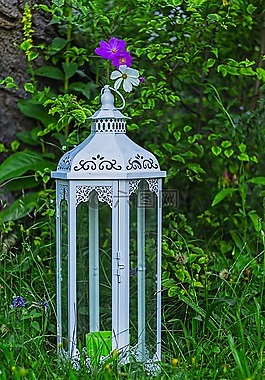 科斯梅亚大孔吸附树脂,cosmea,灯笼