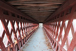 行人天桥,秋,暮光之城