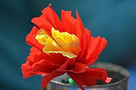 纸花,修补匠,花