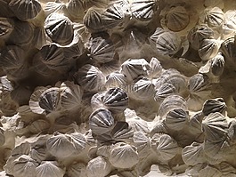 纹理,陆战队,炮弹