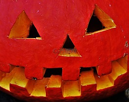 南瓜头,万圣节,感恩节