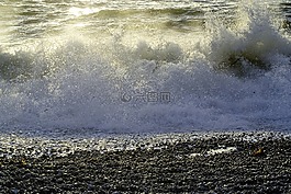 海域,波,暮光之城