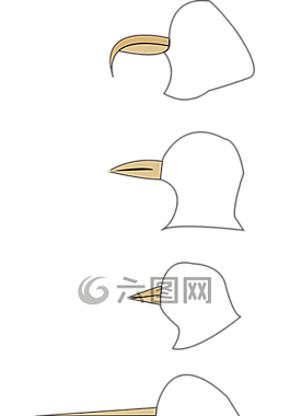 鸟喙,手绘,线条