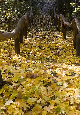 楼梯,徒步旅行,方式