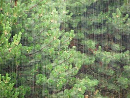 雨,雨落下,水滴