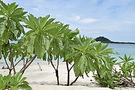 沙滩,大海,海岛