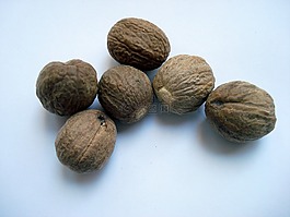 肉豆蔻,muskat