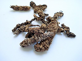 缬草根,缬草