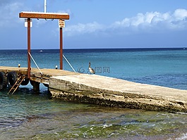 网站,码头,木板路