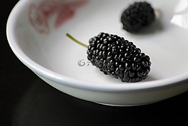 水果,树莓,桑葚