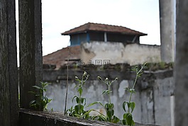 被遗弃,火力发电厂,首页