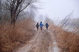 黄河,湿地,童趣