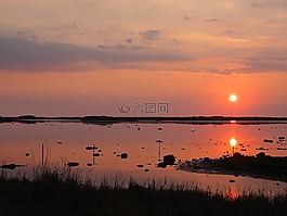 日落,夏天,唐老鸭