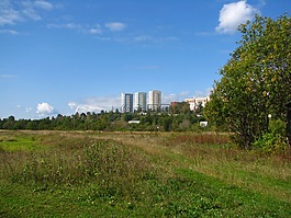 景观,城市,在家