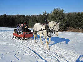 马,雪橇,转乘雪橇