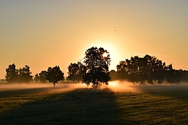 日出,晨雾,morgenrot