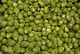 豆芽,蔬菜,绿色