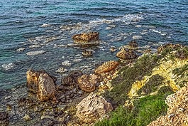 岩质海岸,岩,石头