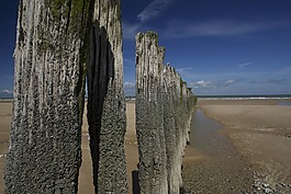 海滩,酒吧,文章