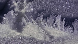 冬天,雪晶体,雪