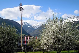 五朔节花柱,1,五月