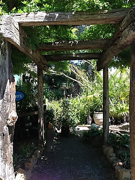 绿化带,质朴的凉棚,花园步行
