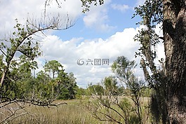 自然,马什,云