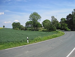 路,曲线,乡村生活