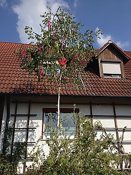 五朔节花柱,1,五月