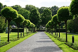 公园,植物园,奥格斯堡