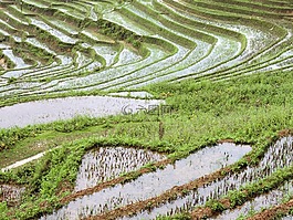 越南,沙巴,亚洲