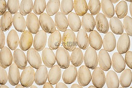 开心果,nutshells,阿月浑子壳