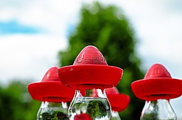 宽边帽,墨西哥帽,红色