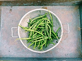 豆类,青豆,四季豆