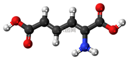 aminomuconic,酸,代谢