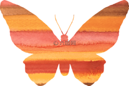 蝴蝶,剪贴画,橙色