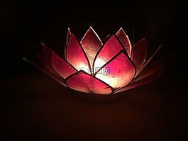 莲花,蜡烛,光