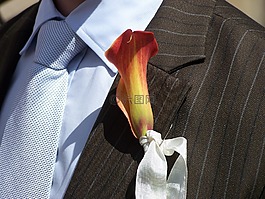 婚礼,百合,服装