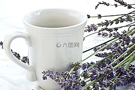 熏衣草,杯,台布