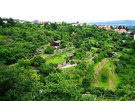露台种植,露台花园，水果,奥地利