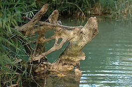 级联,洪流,水课程