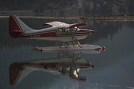 水上飞机,飞机,floatplane