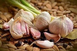 大蒜,块茎,香料