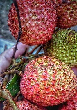 荔枝,水果,自然