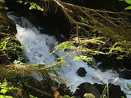 水,春天,渠道