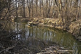 龙骨,staříč,borovany