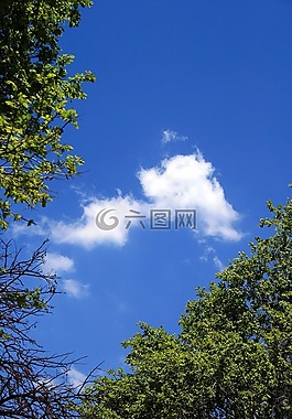 蓝色的天空,天空,蓝色
