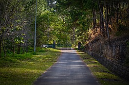 私人,路,村