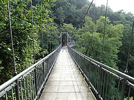 绳桥,吊桥,桥